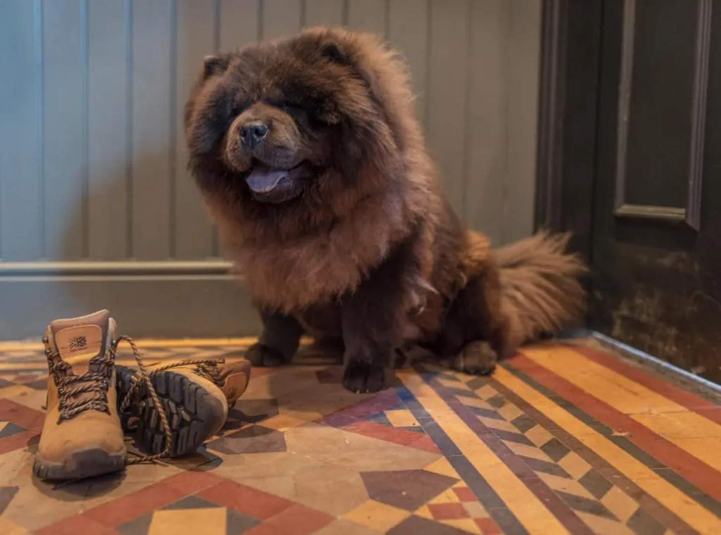 The Black Bull Hotel