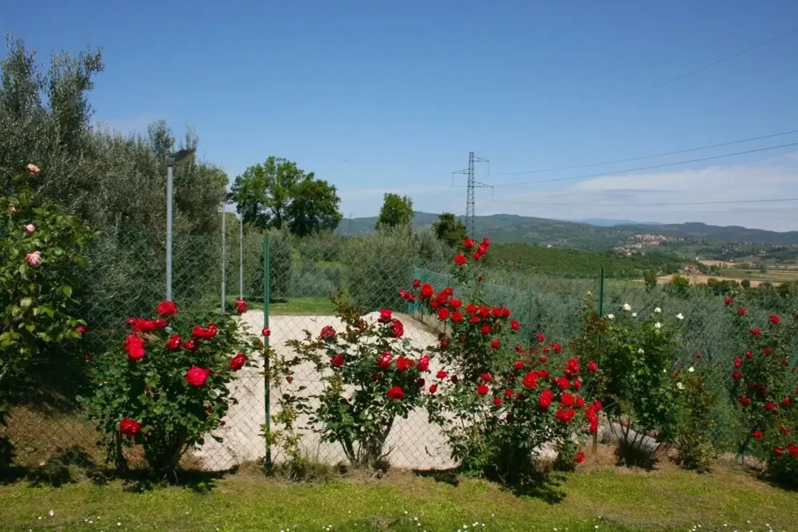 Wonderful private villa with WIFI, private pool, TV, pets allowed and parking, close to Arezzo