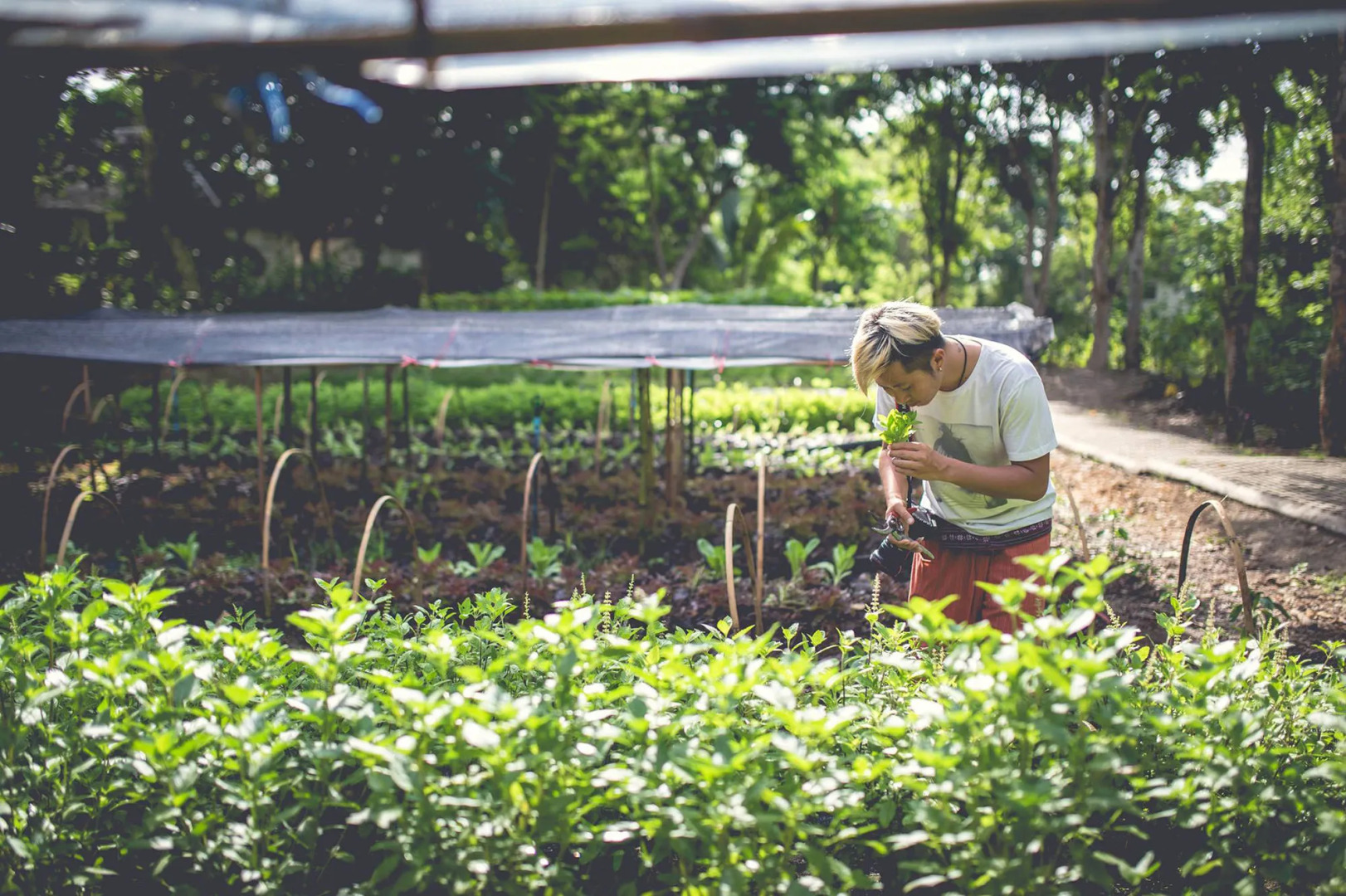 Narittaya Resort and Spa