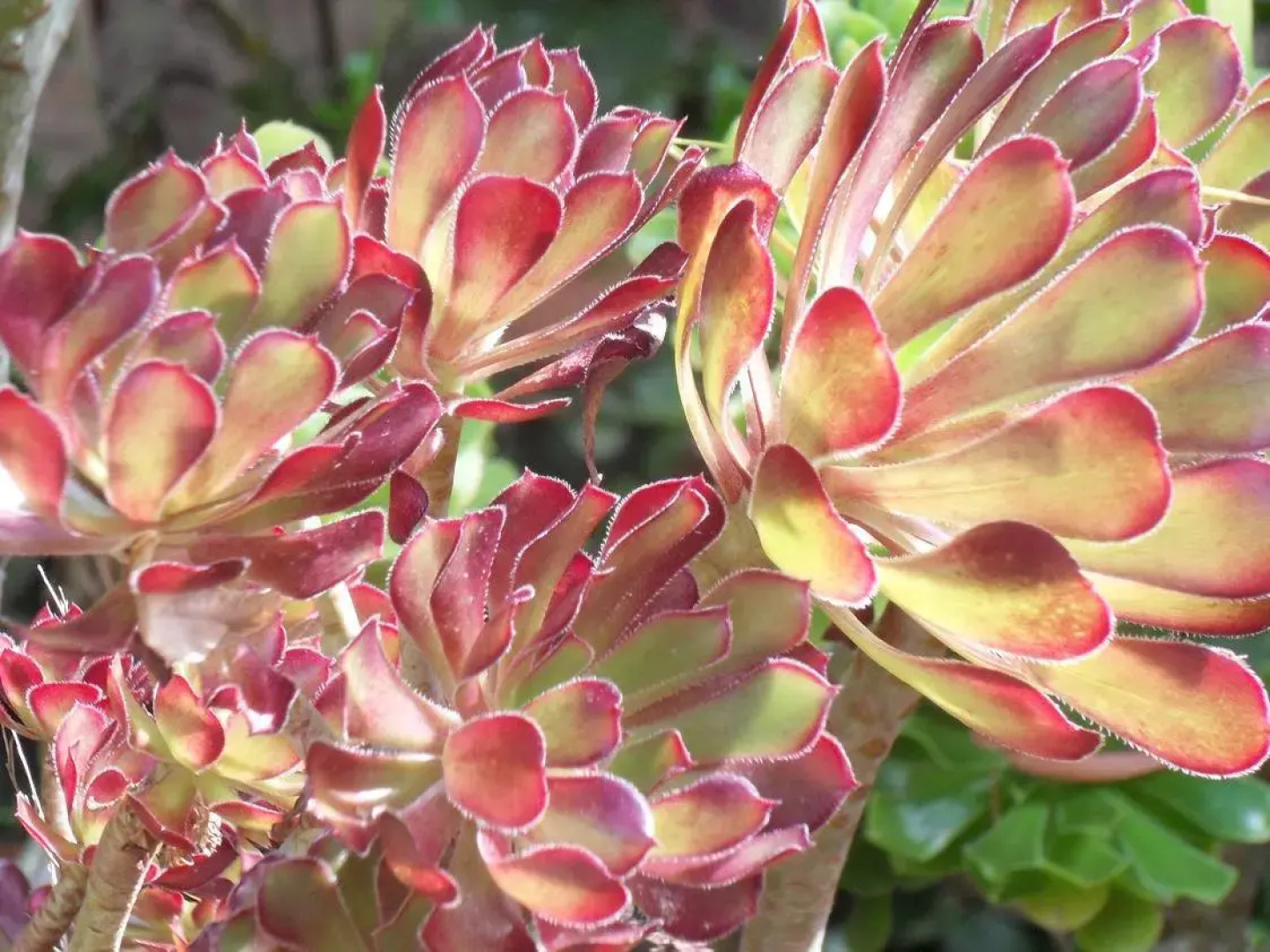 Sutton Spring Art Retreats