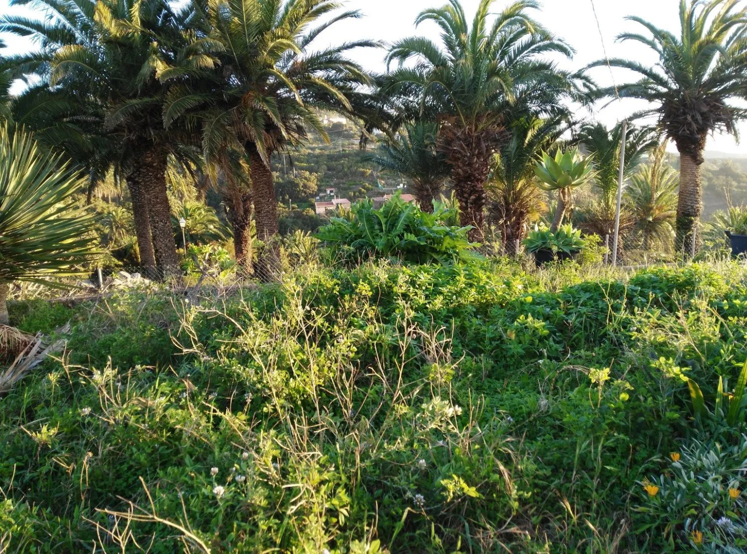 Casas Rurales Amparo Las Hayas