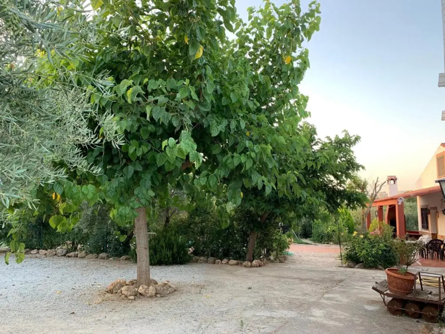 Casas Rurales Cazorla-Alcón