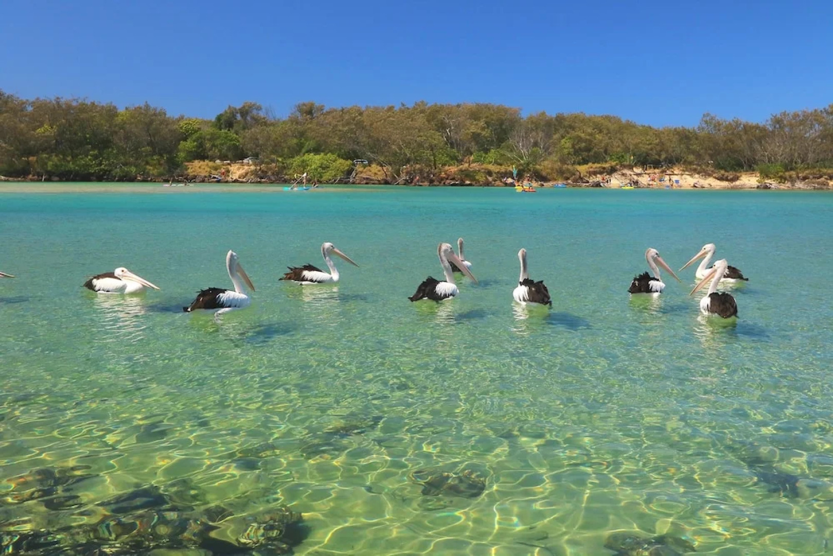 Kingscliff Ocean Breeze - 6/6 Kingscliff Street