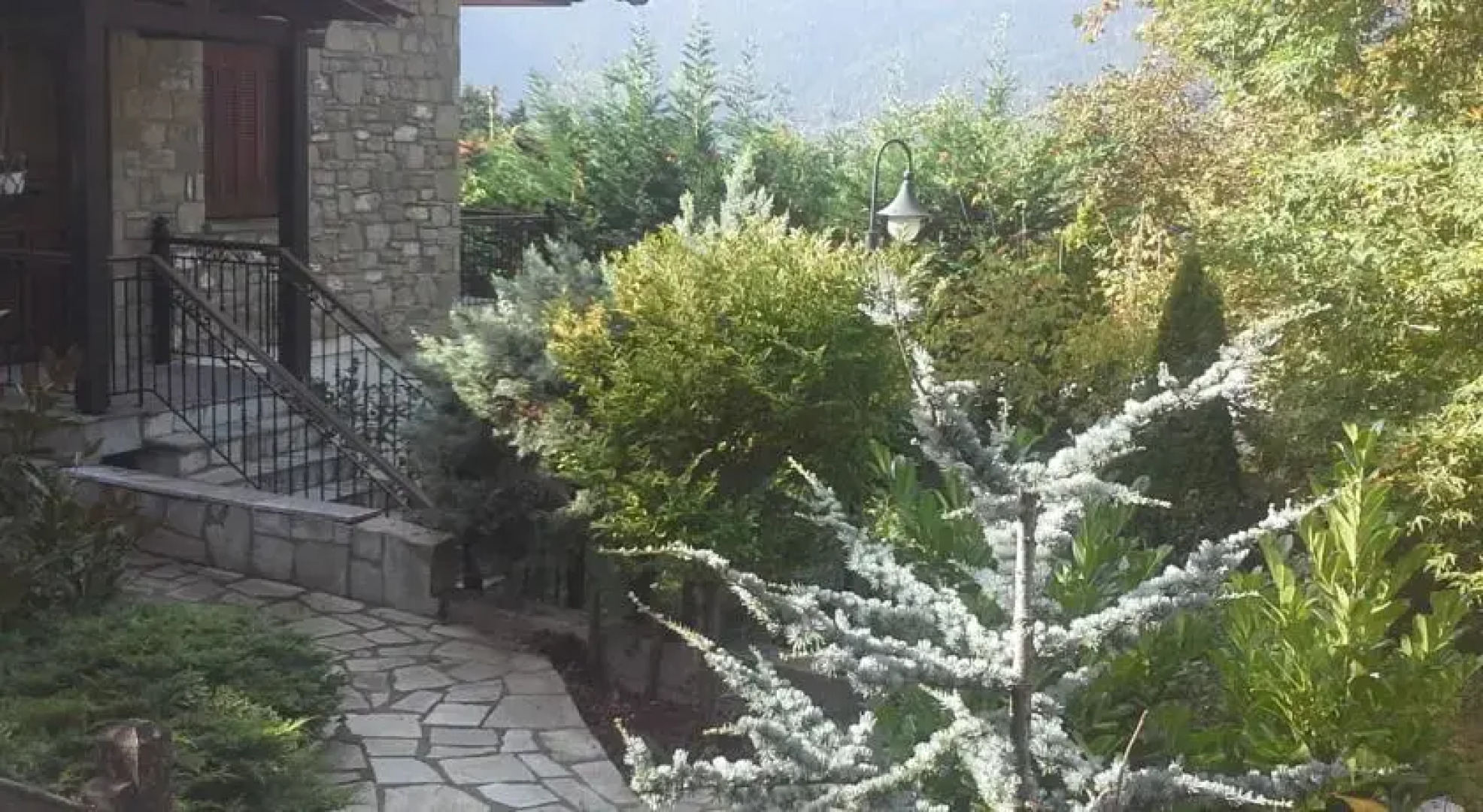 Ta Petrina Tis Elatis