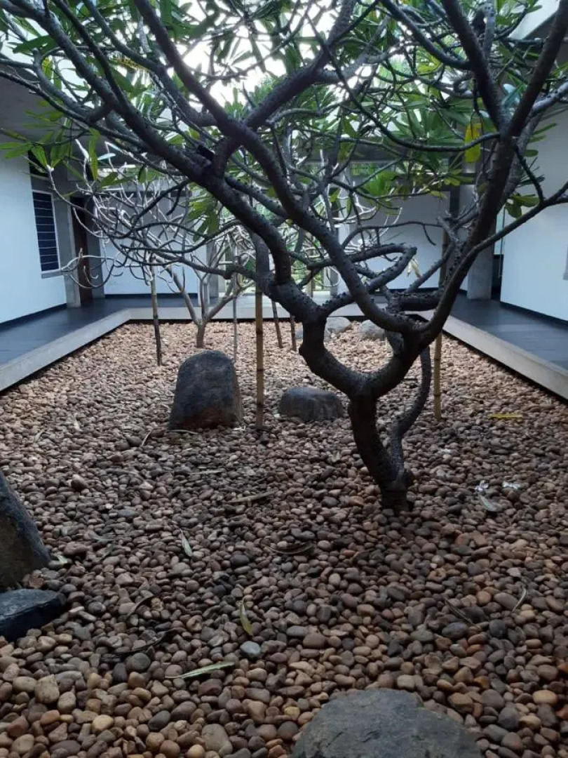 Temple Tree Retreat