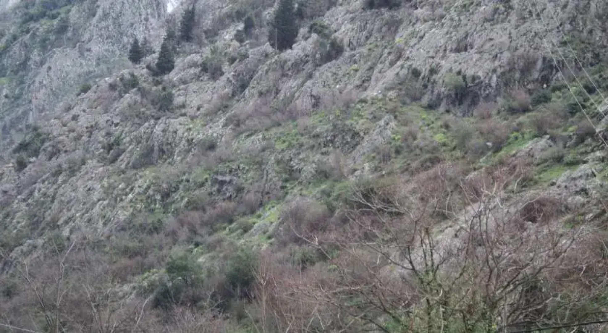 Apartments Škaljari