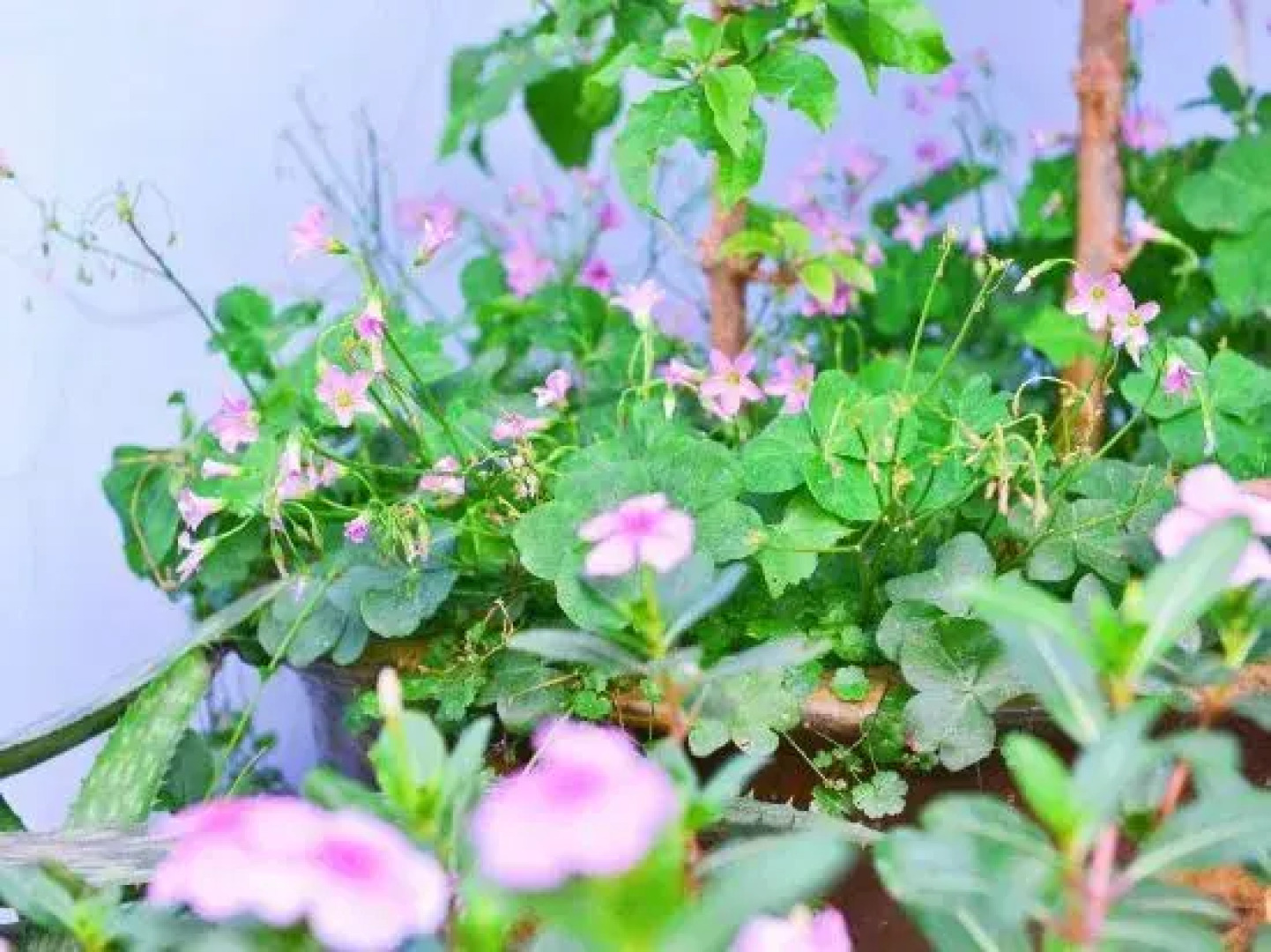 Shiping memory hotel