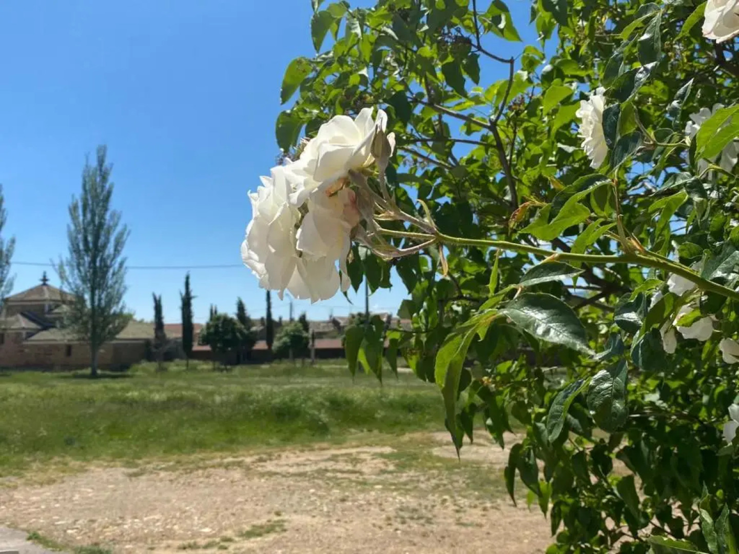 El Molino del Arriero