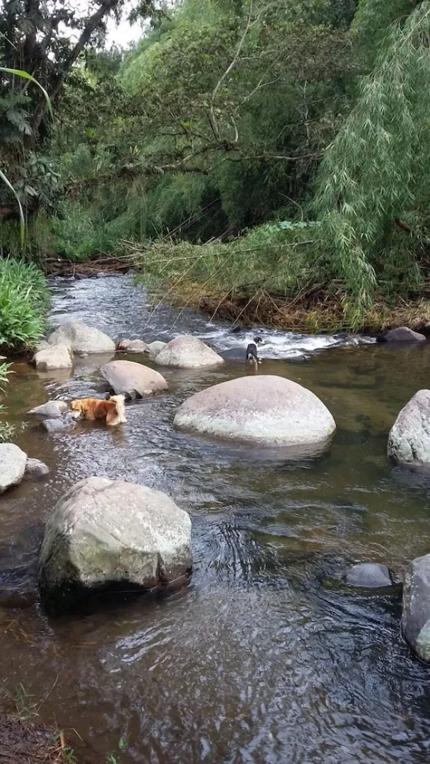 Santa Maria Bed and Breakfast