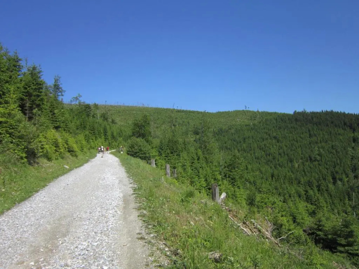 Ubytování U Morisse