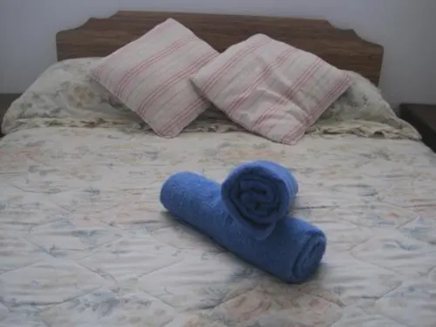 Canterbury House Christchurch