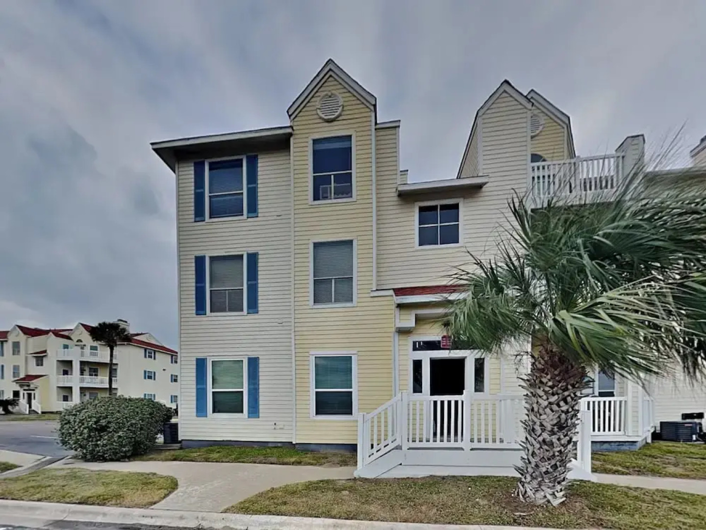 Npi146-the Lazy Turtle