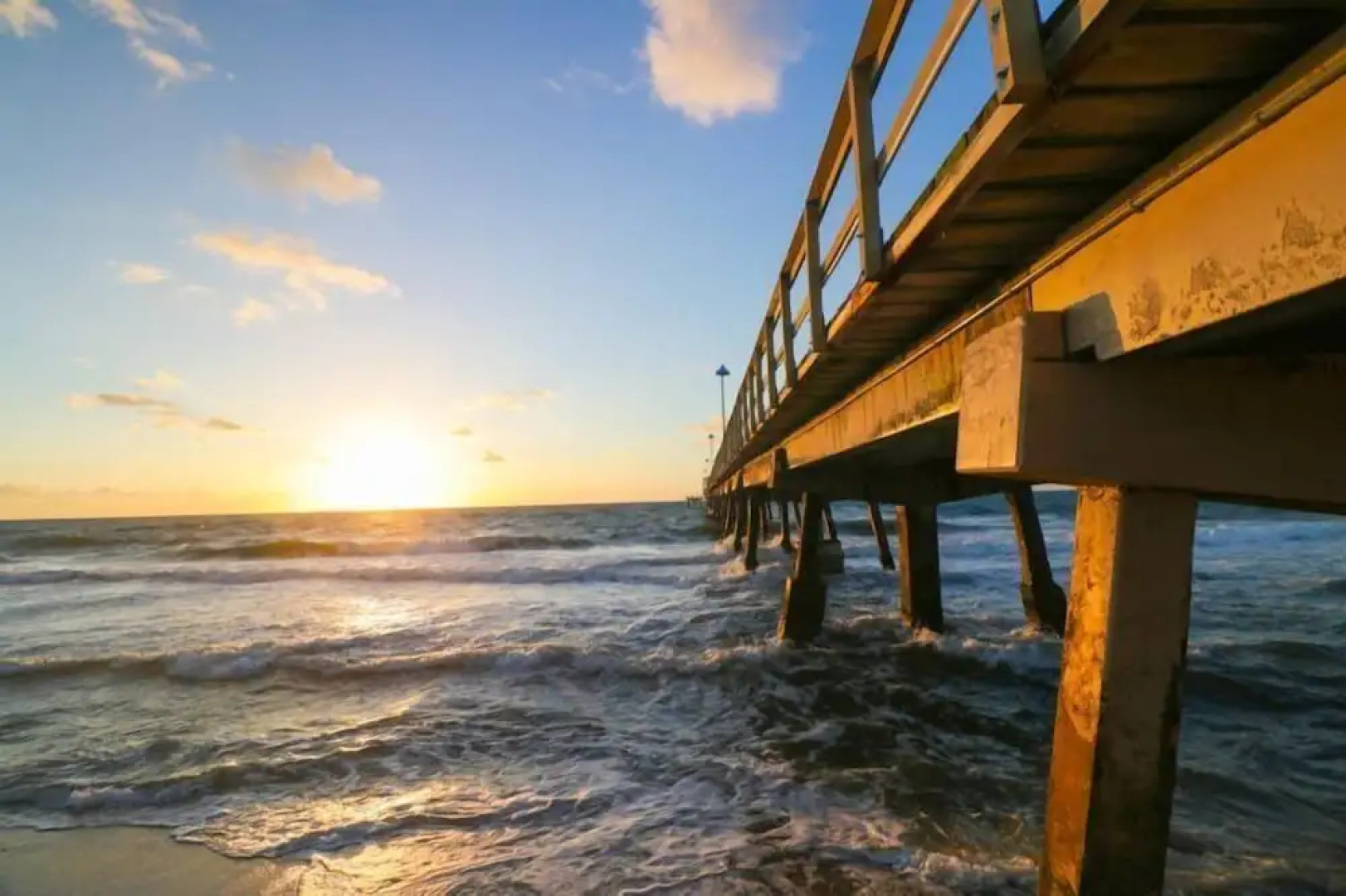 Wilton Way Orchid House