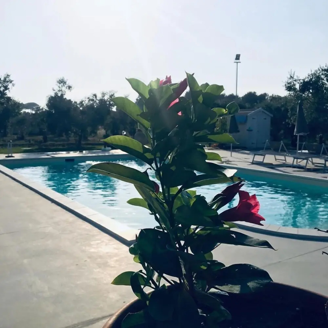 Dimora Capasi Luxury