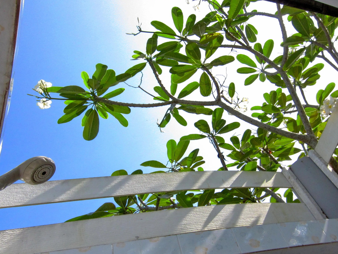 Lumphachi Lakehill Resort