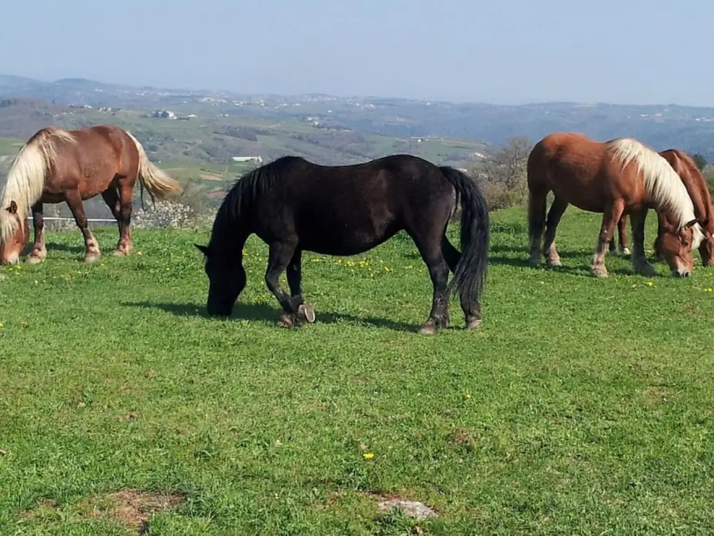 Ferme de la Bonnefontaine