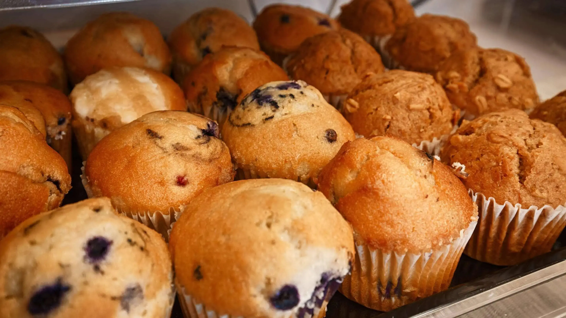 Best Western St. Louis Inn