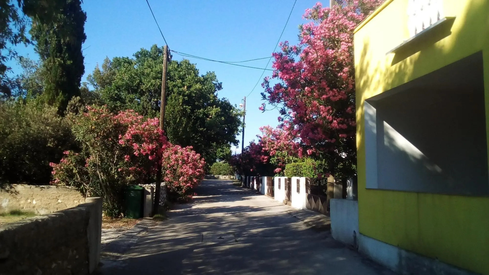 Apartment Midi - with two apartments: A2 Petrcane, Zadar riviera