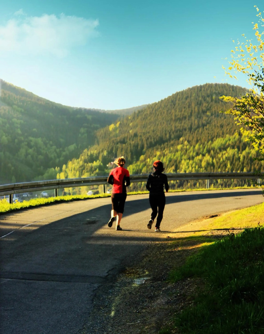 Ferienhotel Mühlleithen