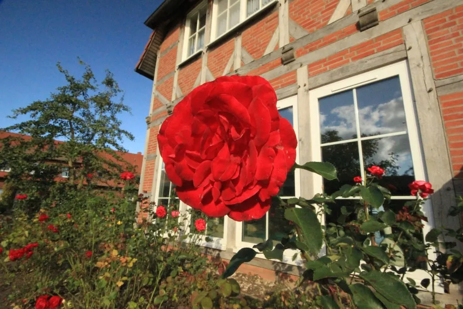 Flair Seehotel Zielow