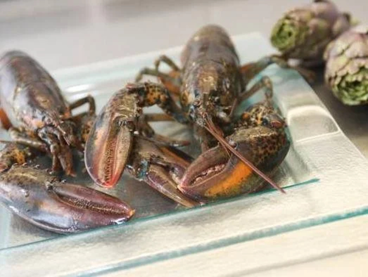 Domaine Du Haut Vent