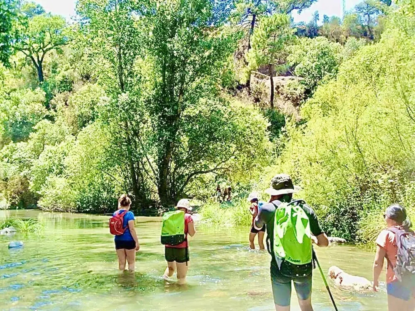 House With 2 Bedrooms in Genalguacil, Málaga, With Shared Pool, Enclosed Garden and Wifi Near the Beach