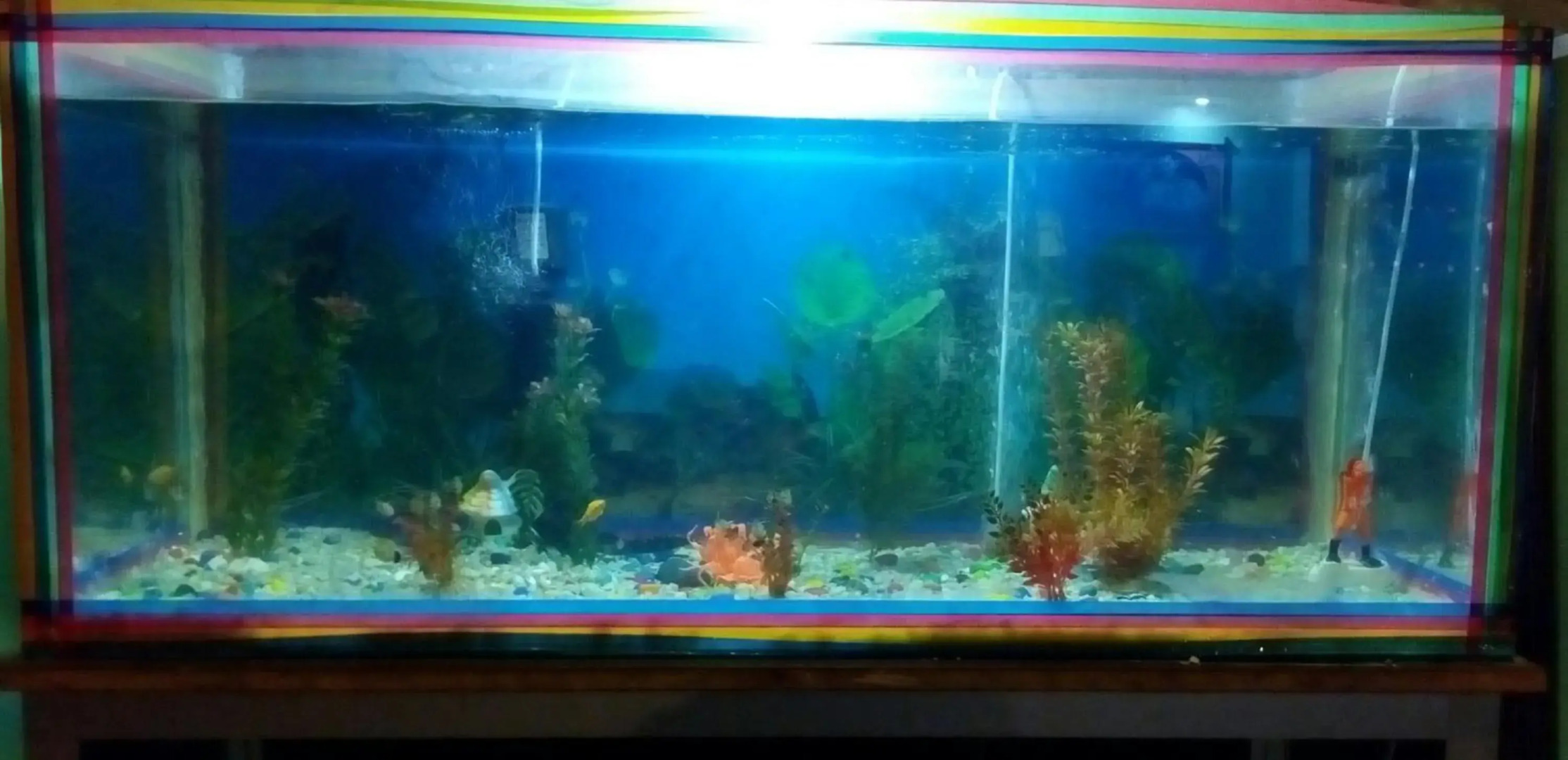 Centennial Hotel 2008