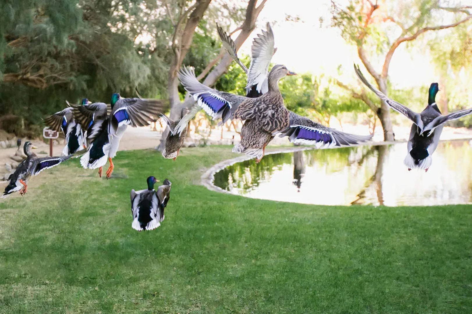 Two Bunch Palms Resort & Spa