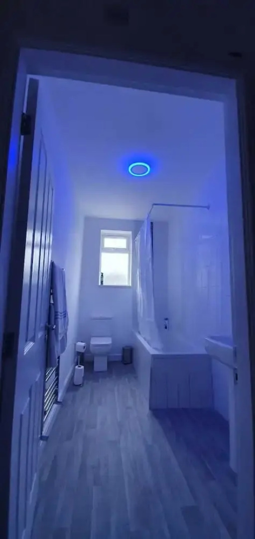 Fantastic New Room-2