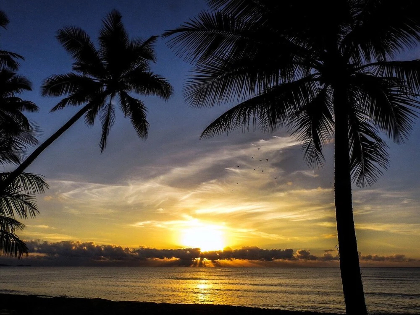 Absolute on Newell Luxury Beach House