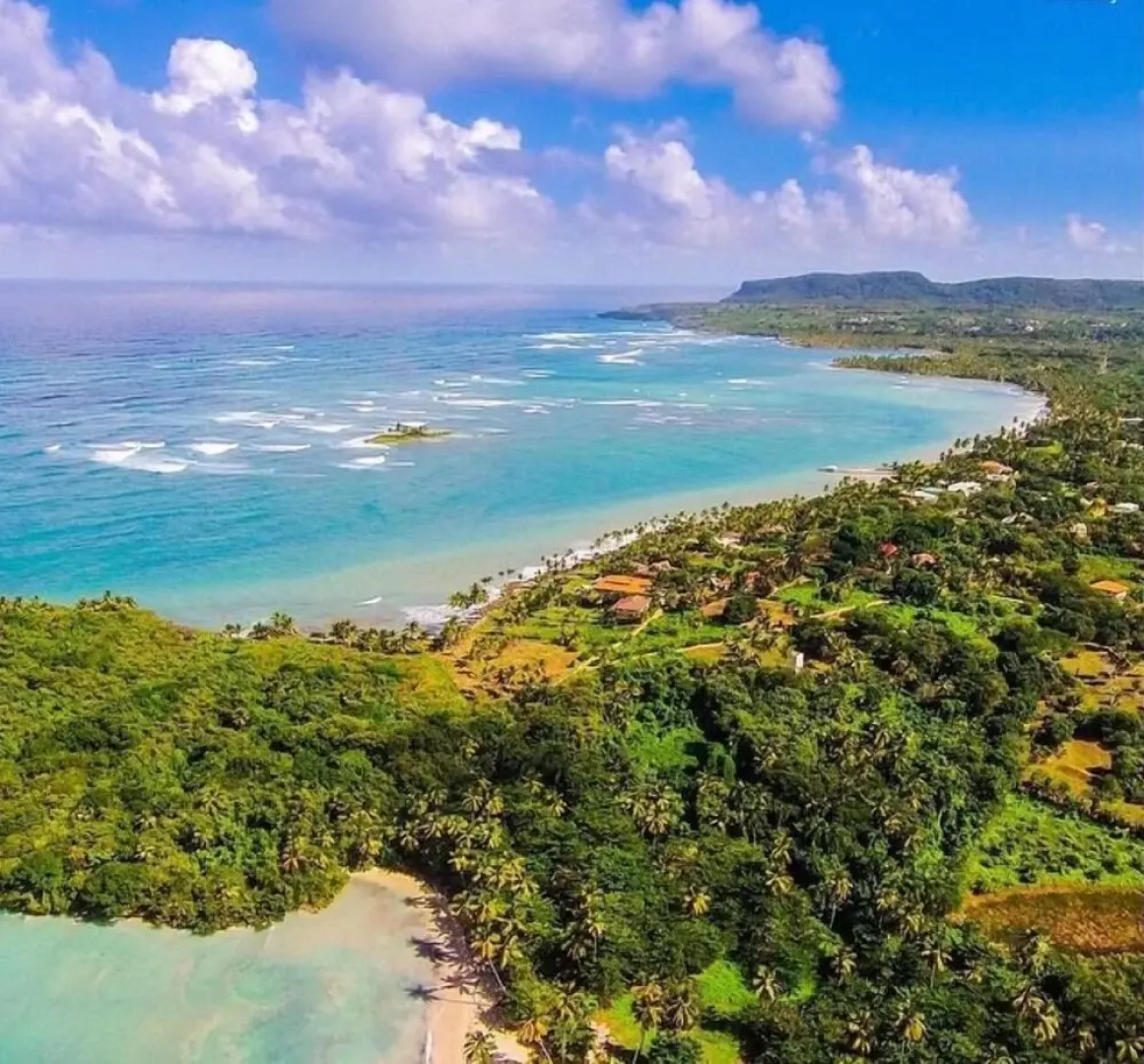 Hostel La Ballena Backpacker