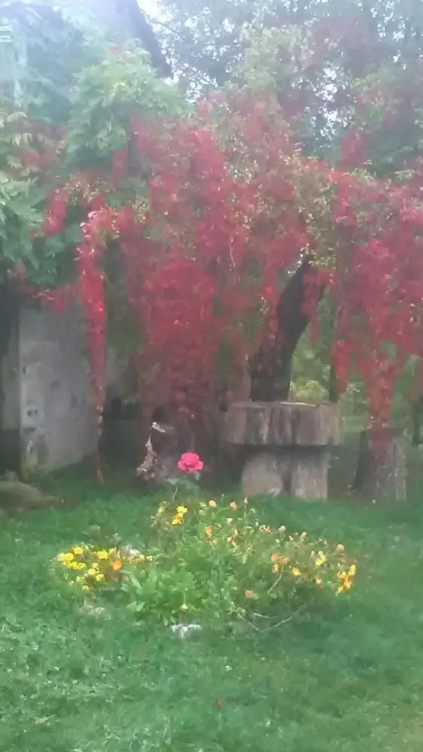 Rifugio Aquila Verde