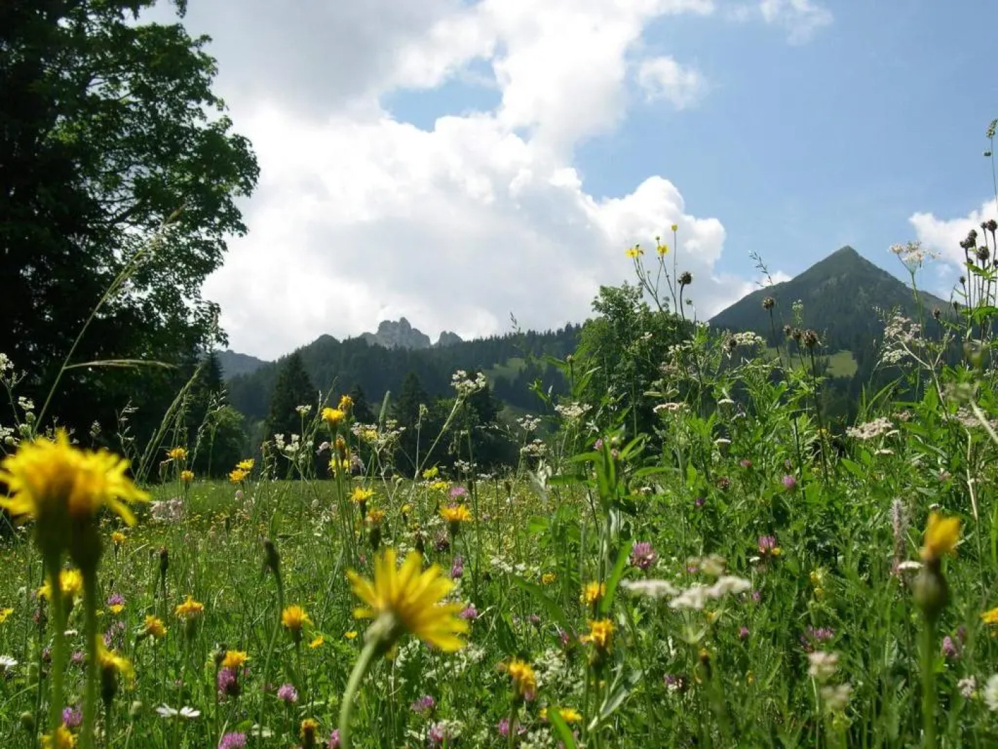 Hotel Garni Haus Brigitte