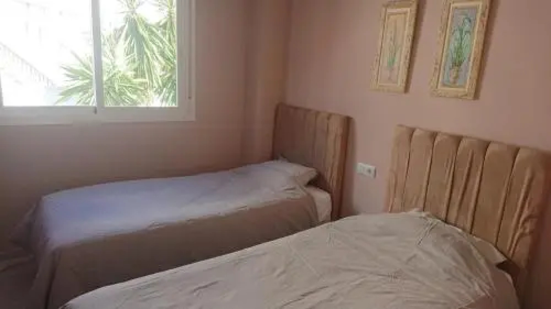 Estrella de La Bahia