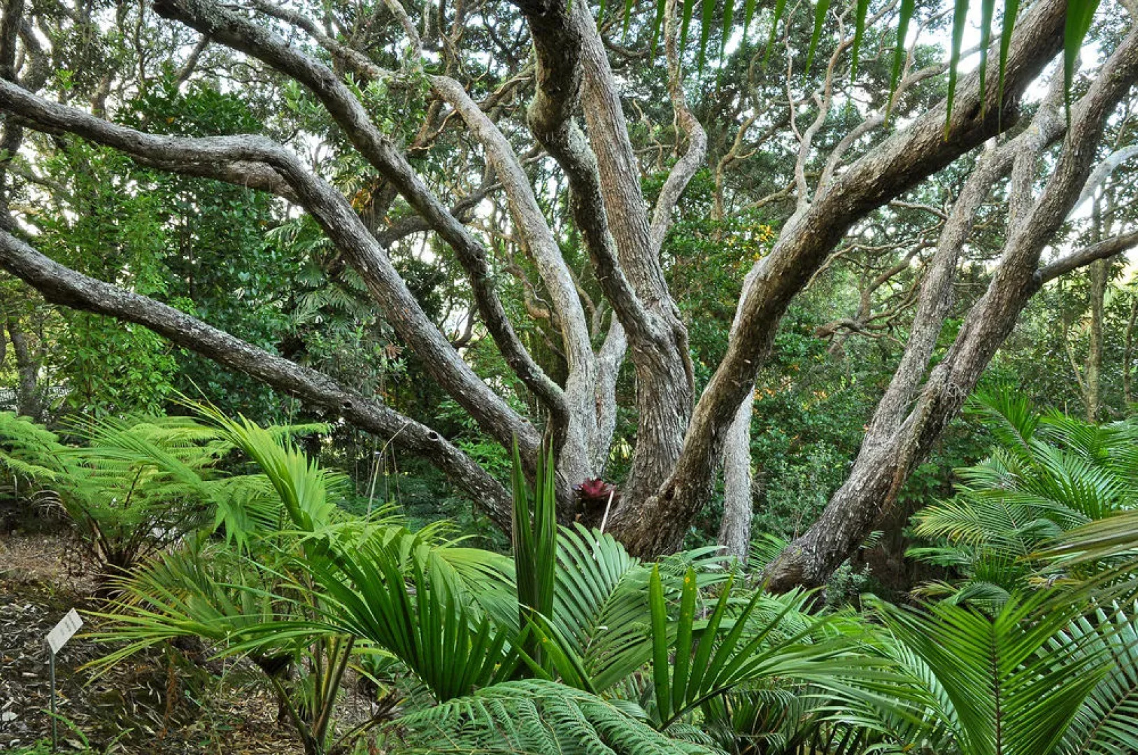 Sanctuary in the Cove