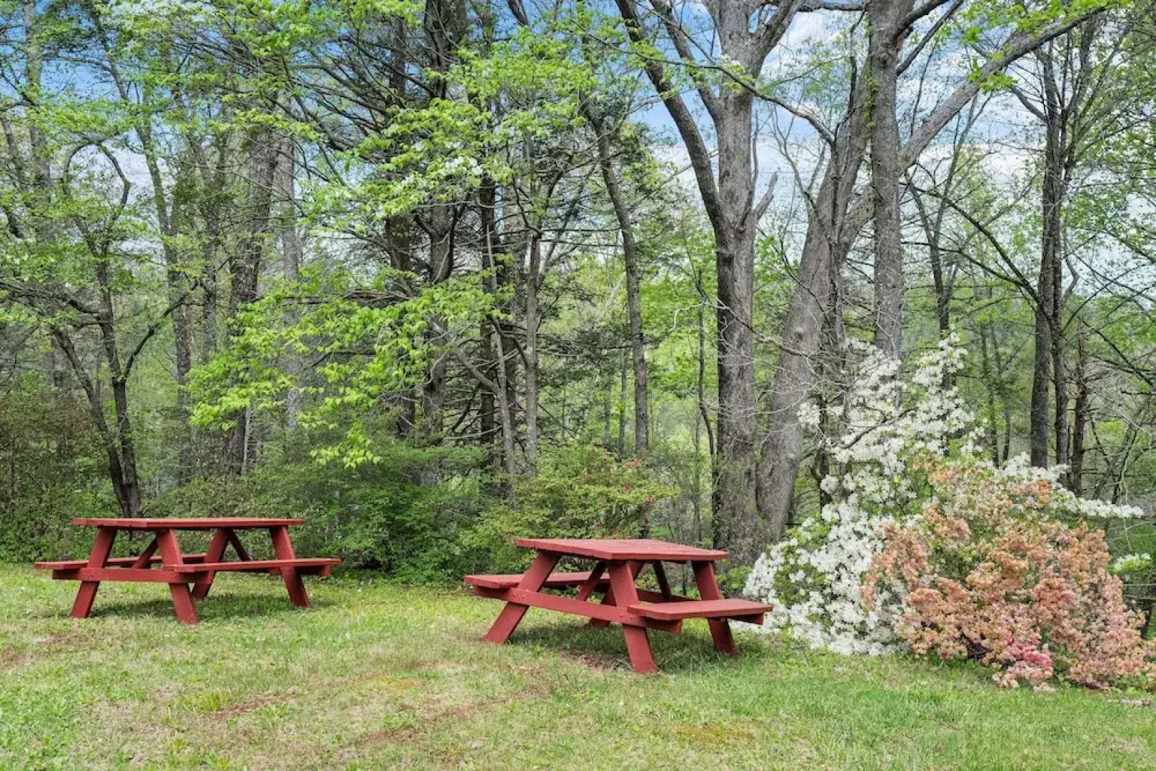 Cosby Mountain Lodge 4 Bedroom Home