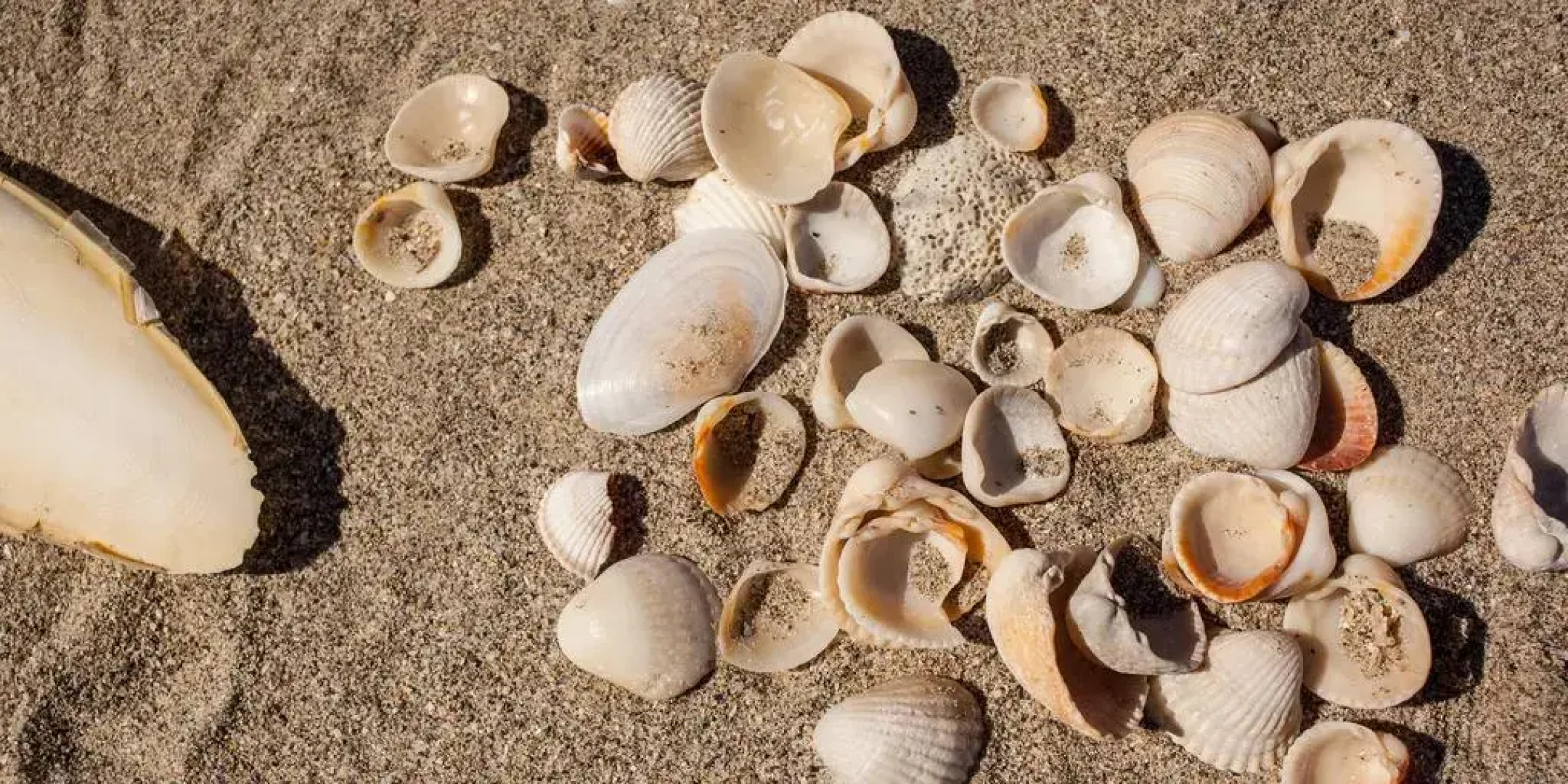 Apartamentos MarAzul La Manga