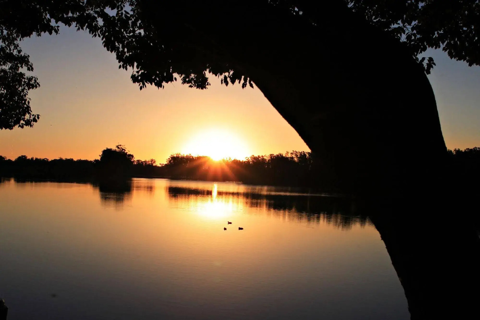 Discovery Parks - Forster