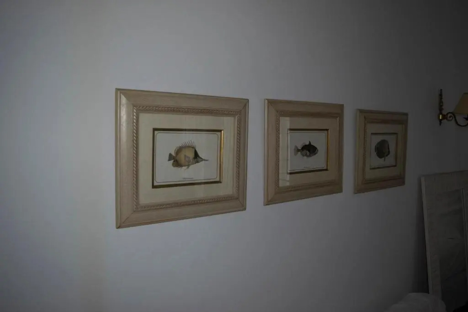 Roditses Beach sea front Apartments