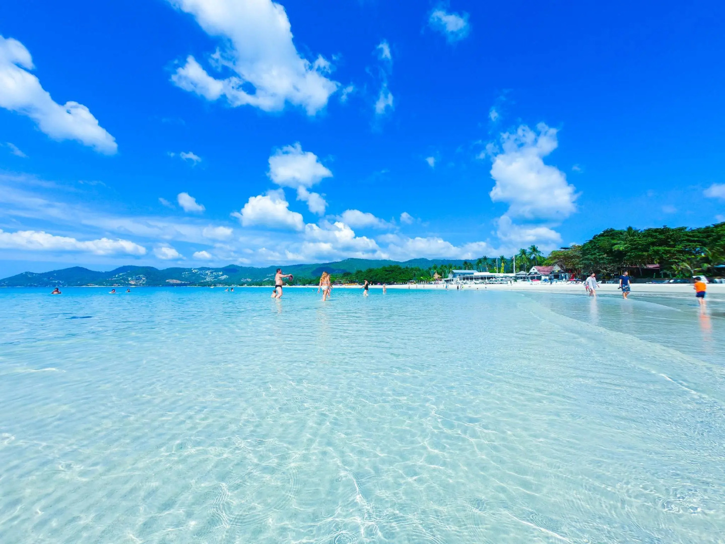 Chaweng Garden Beach Resort