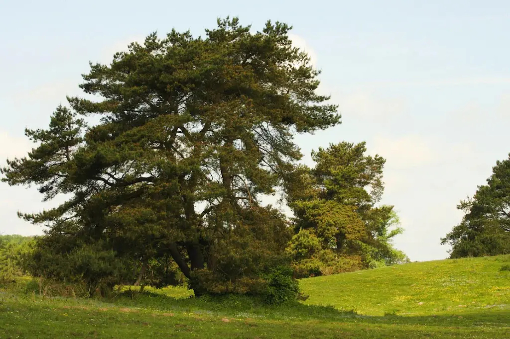 Semi-detached house Seestern, Lohmen