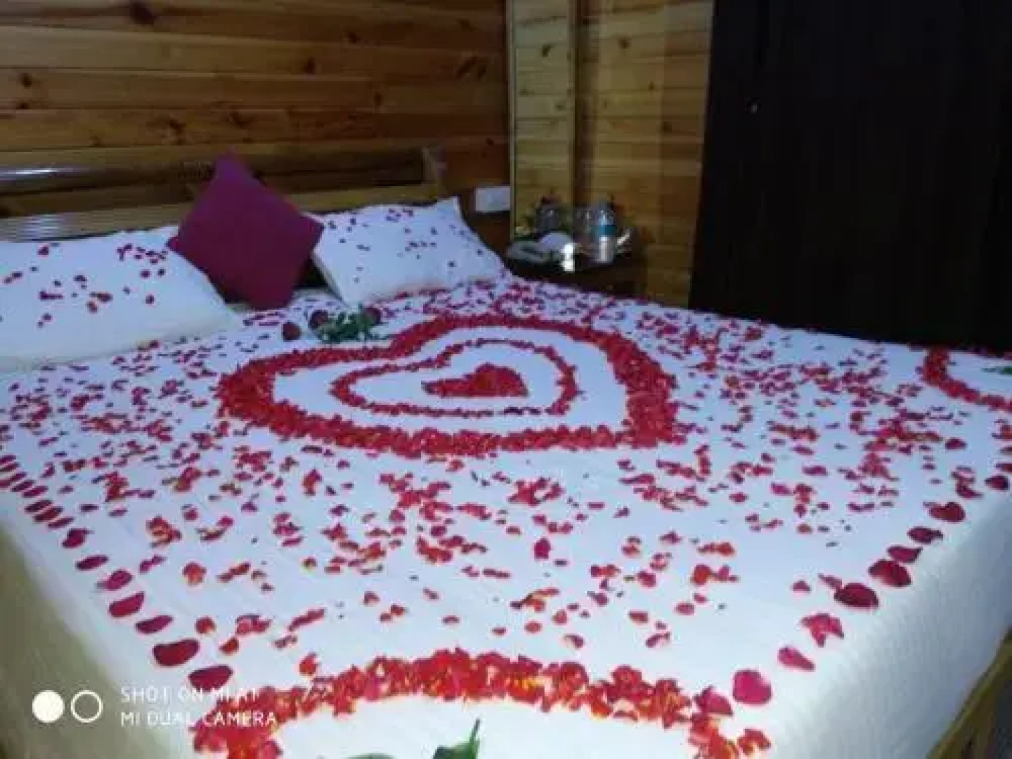 Coastal Galaxy Wooden Homes