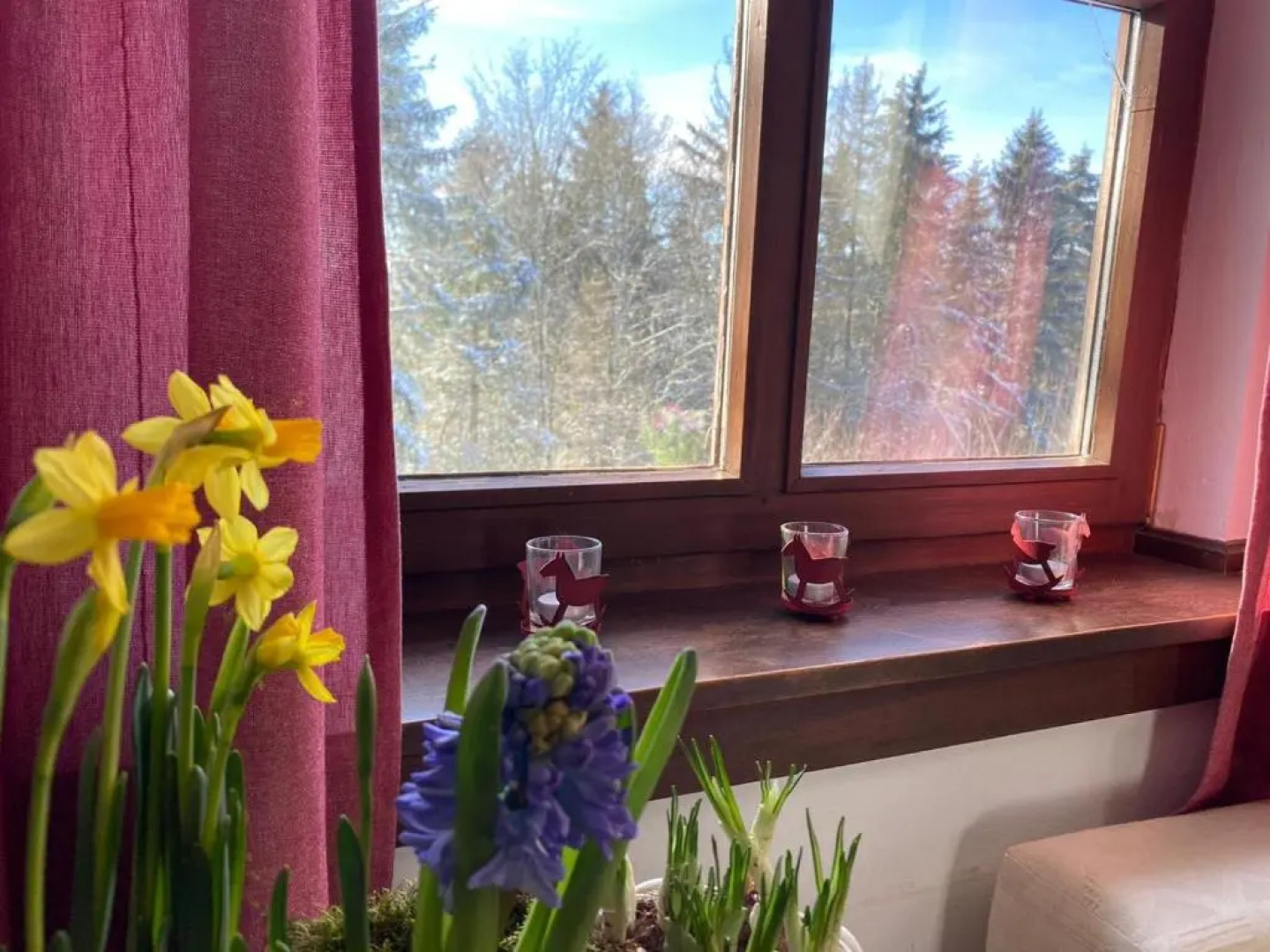 Jagdhaus in der Rhön in völliger Alleinlage