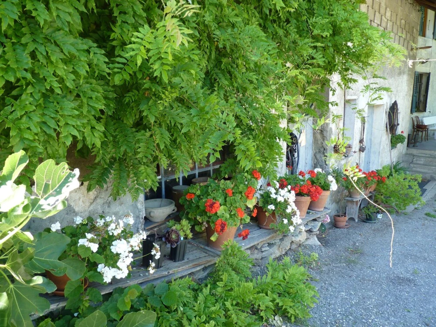 Domaine de la Safranière