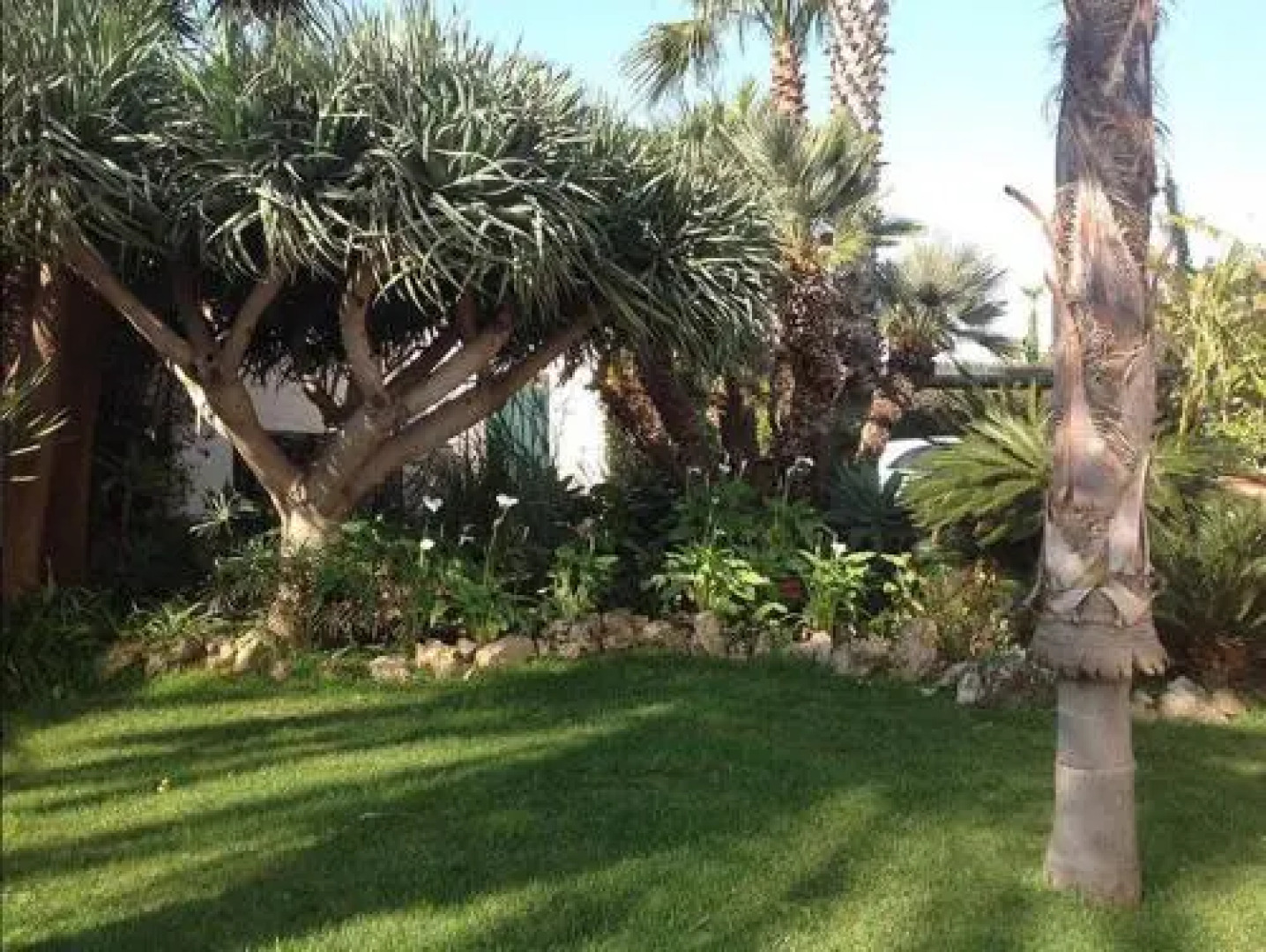 La Pomelia Casa Vacanze