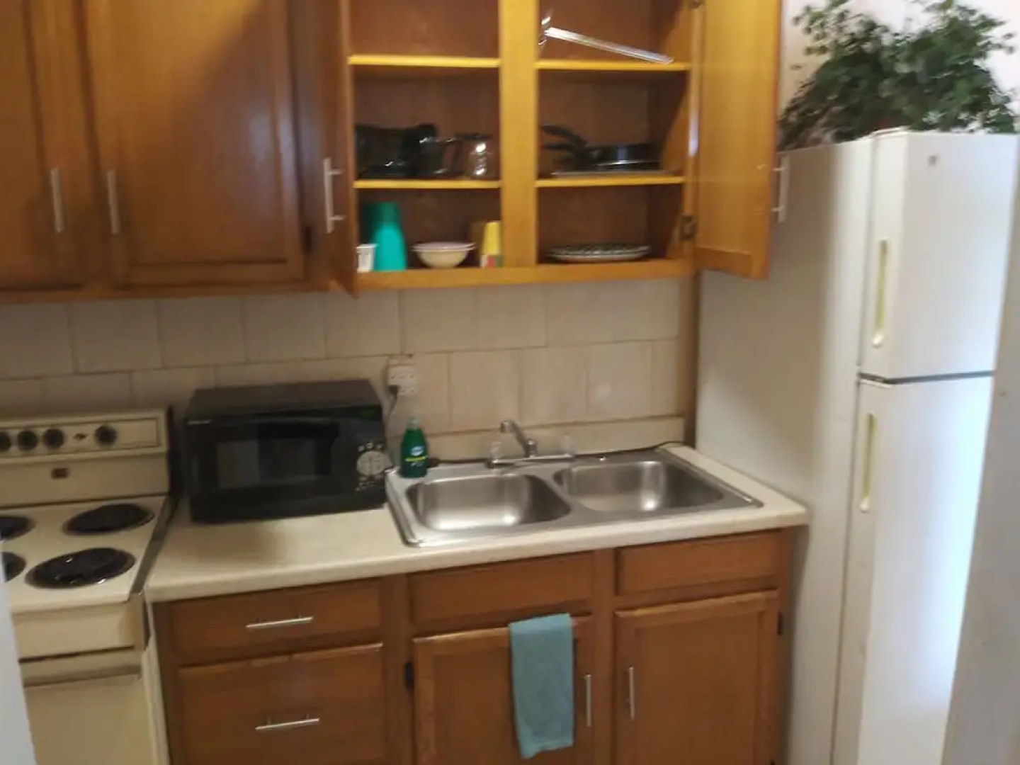 Siesta Motel and Surfside Cabanas