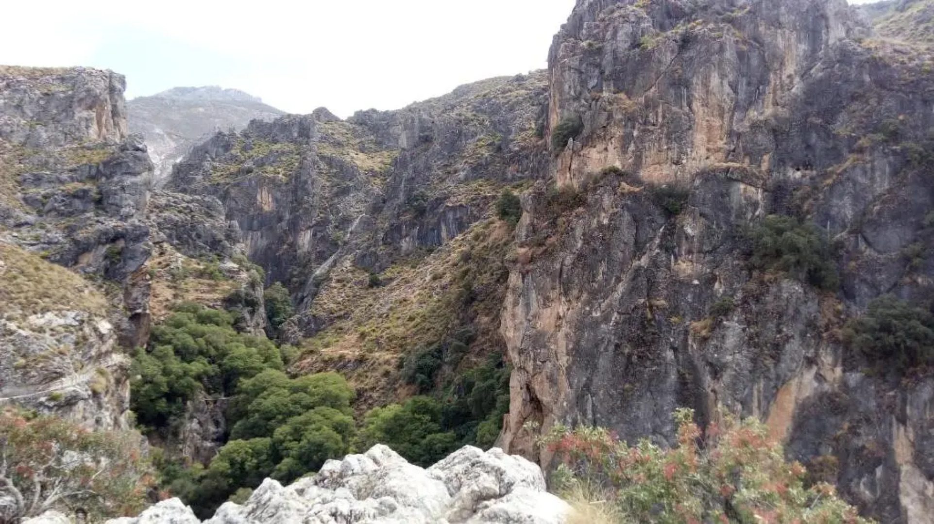 La Casa del Pianista