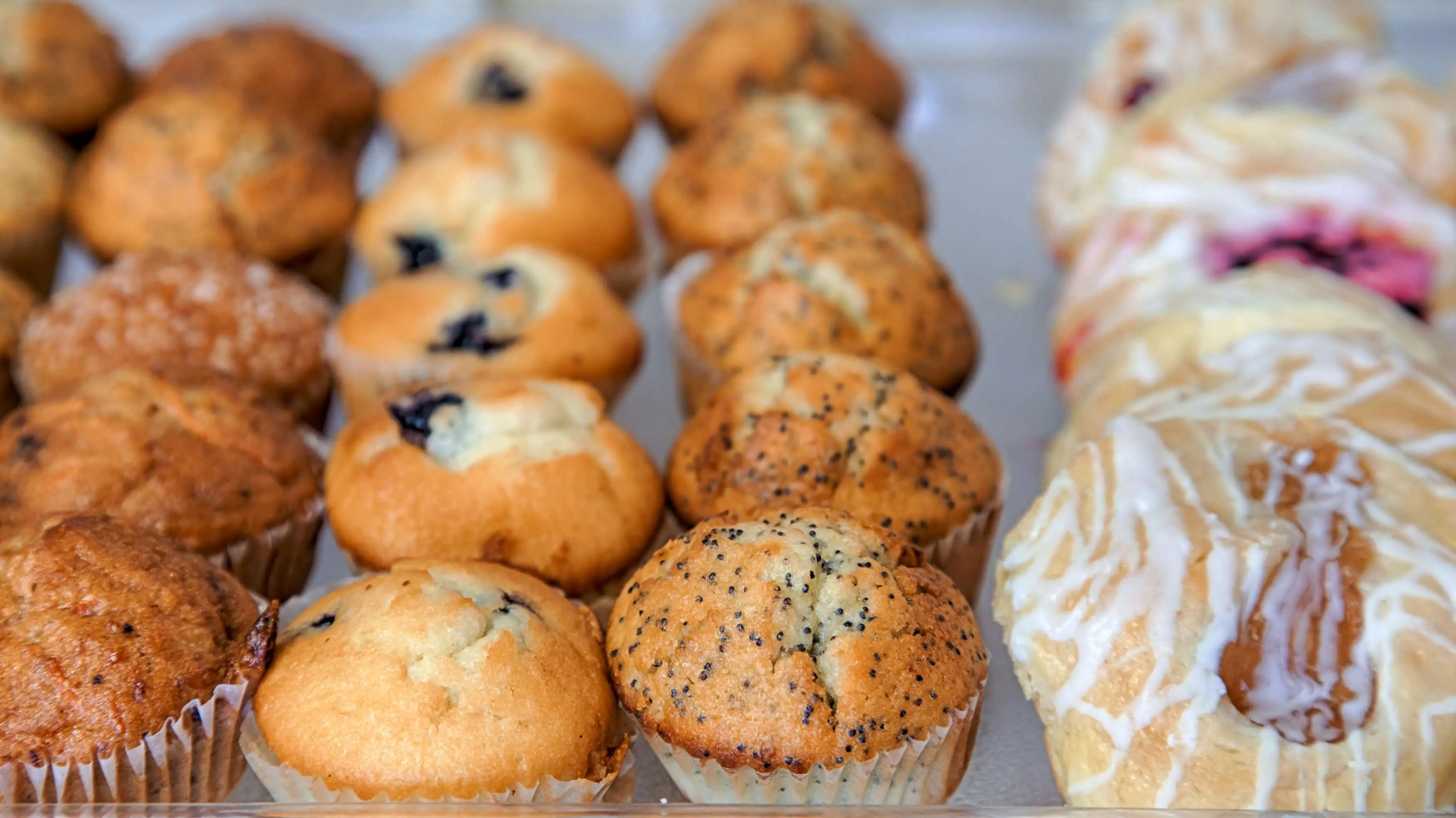 Best Western Port Huron Blue Water Bridge