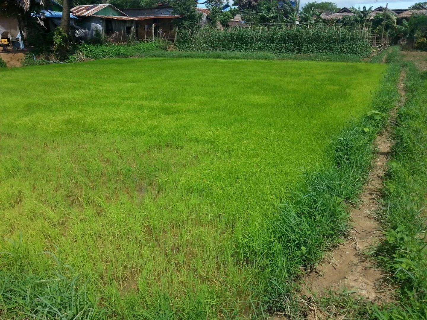 Ngwe Saung Garden Guest House