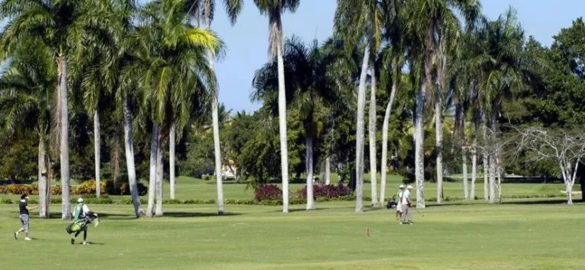 Fun Tropicale Beach Resort